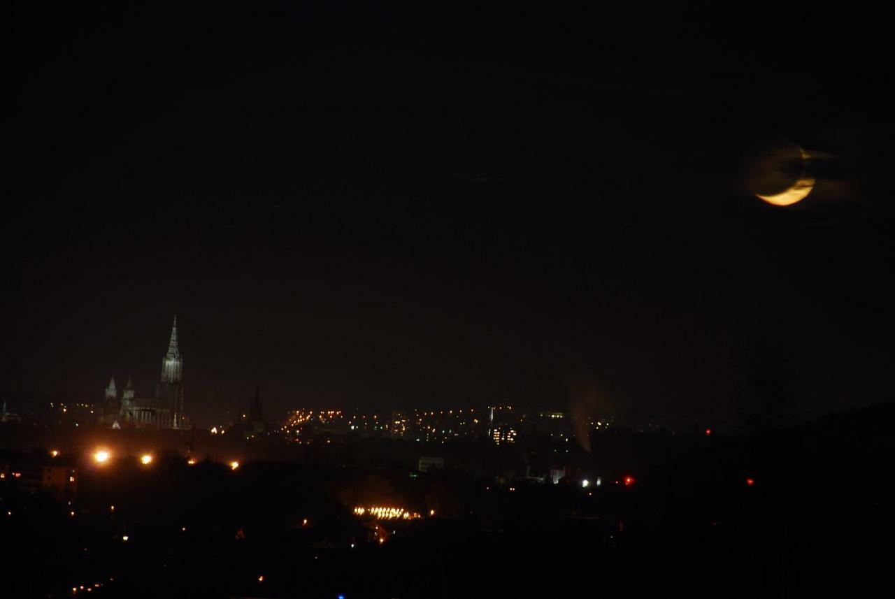 Ulmer Muenster Blick Elchingen Esterno foto