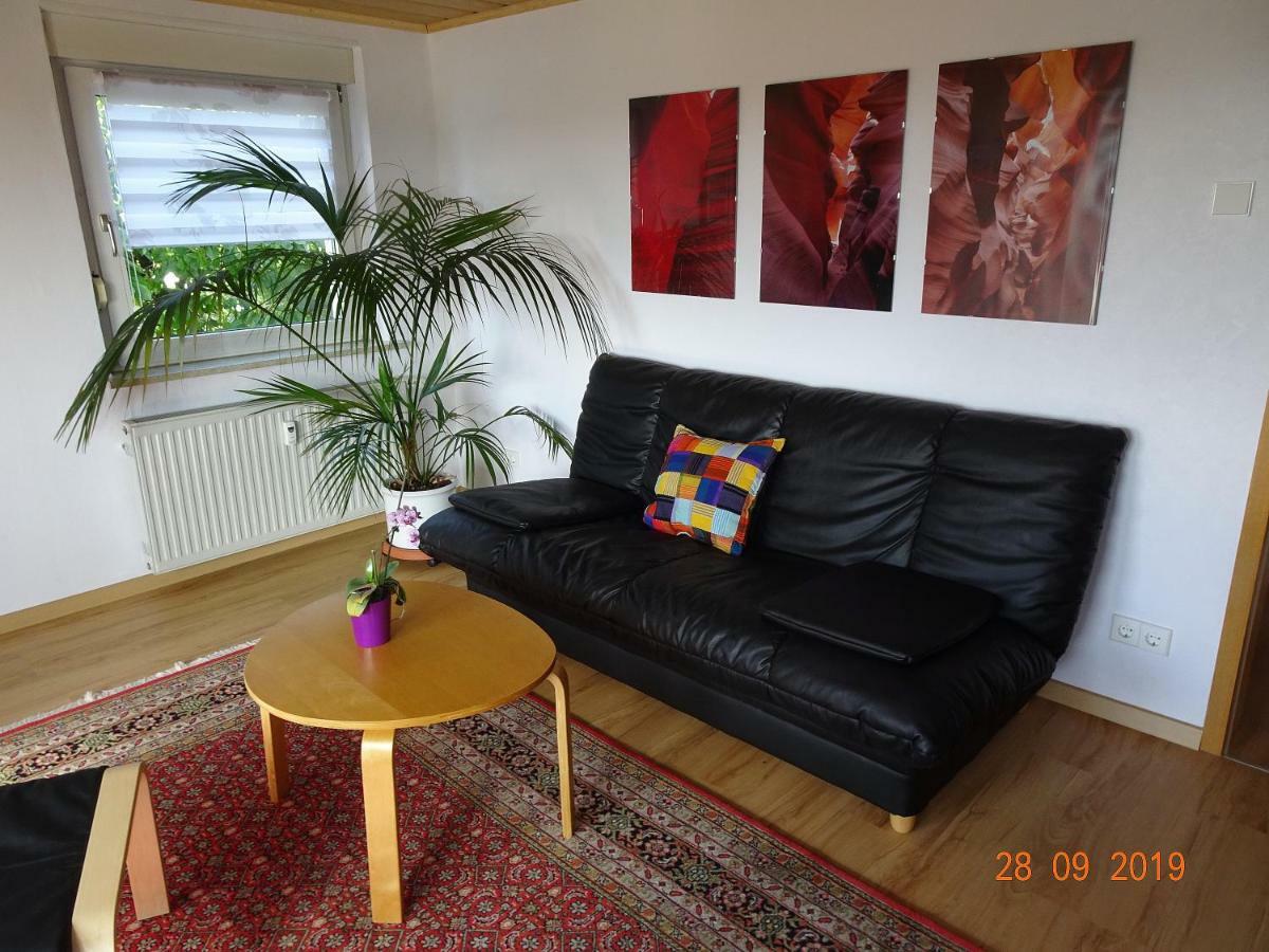 Ulmer Muenster Blick Elchingen Esterno foto